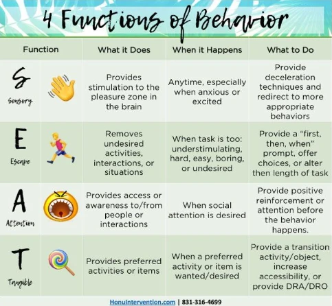 Functions of Behaviour